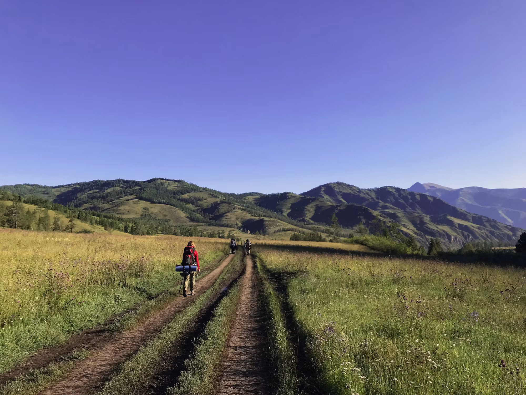 Exploring the World of Tea: A Journey Through Culture and Flavor